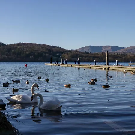 Lily Rose * ウィンダミア